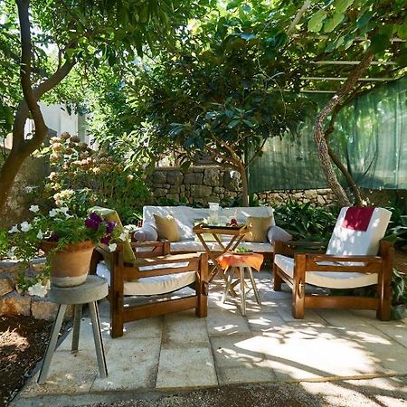 Aspidistra Shadow Lejlighed Dubrovnik Eksteriør billede